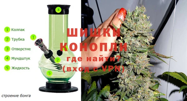 индика Кукмор