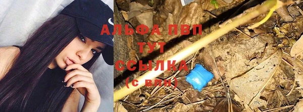 индика Кукмор