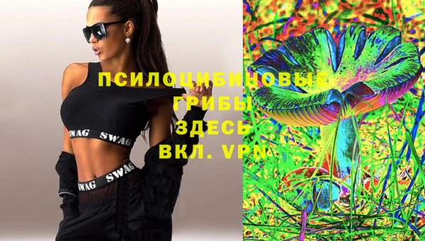 бошки Абаза
